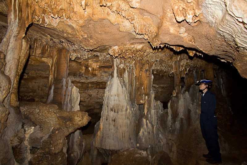 New Rankin Cave at Tyson Research Center, with DBBS graduate student Yunci Qi.  