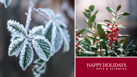 Happy Holidays from Arts & Sciences