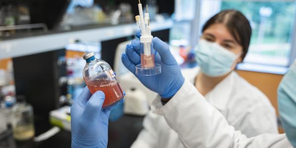 Graduate student Andreea Stoica and postdoctoral researcher Karthik Rengasamy examine electricity-eating bacteria in Arpita Bose's lab in June 2021. (Photo: Sean Garcia)