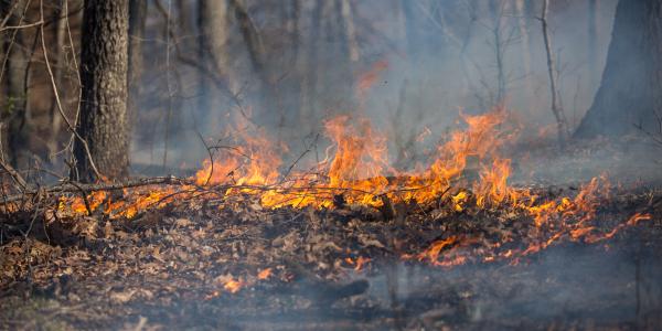 An SPFD prescribed burn in action. (Photo courtesy of Jonathan Myers)