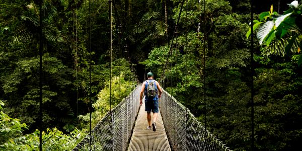 Man running across a bridge in a forest