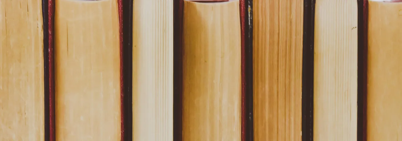 Meet our new faculty: Humanities