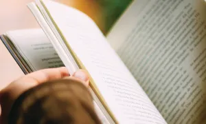 English Literature Major