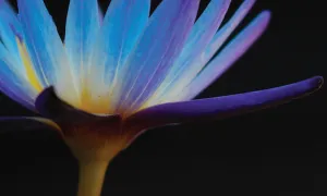 Environmental Earth Science Major