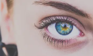 Psychological and Brain Sciences